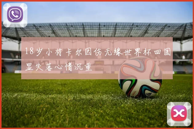 18岁小将卡尔因伤无缘世界杯回国显失落心情沉重